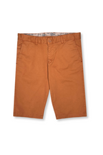 Dane Slim Fit Shorts