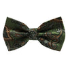 Braydon Paisley Bow Tie