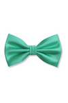 Ben Solid Bow Tie