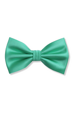 Ben Solid Bow Tie