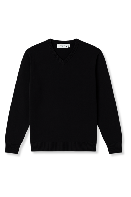 Larry Solid V-Neck Sweater