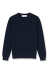 Larry Solid V-Neck Sweater