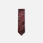 Danford Classic Paisley Tie