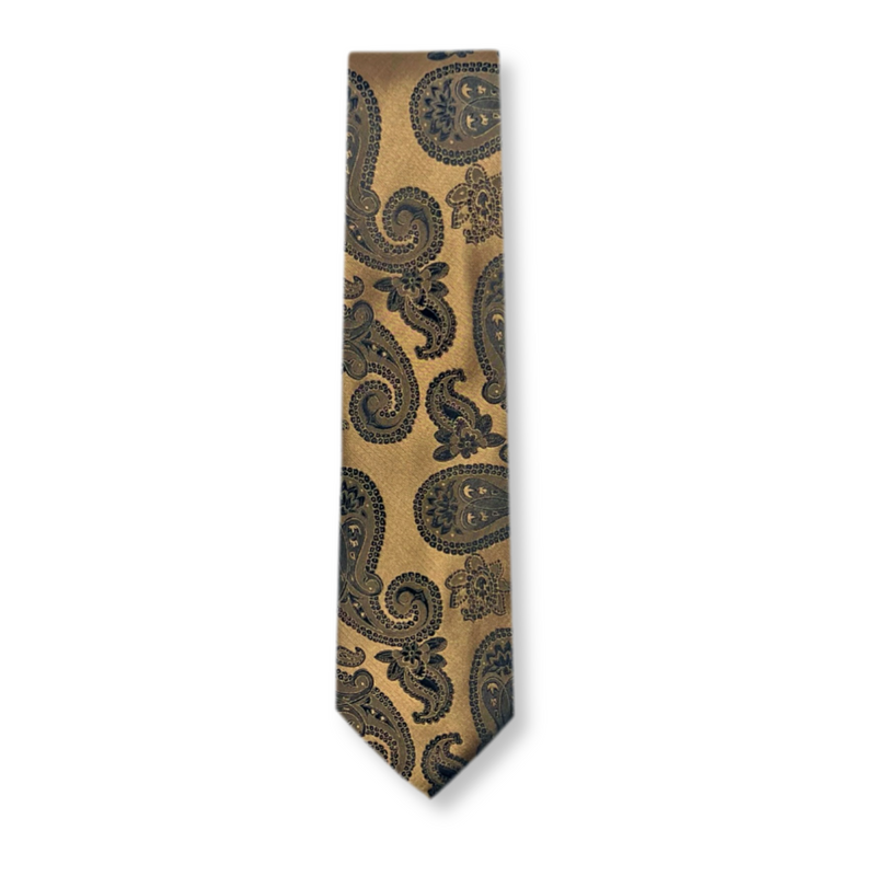 Dabney Classic Paisley Tie