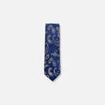Dace Classic Paisley Tie