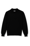 Donald Mock Neck Sweater