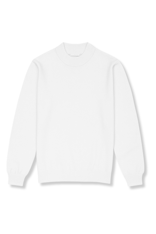 Donald Mock Neck Sweater