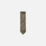 Danford Classic Paisley Tie