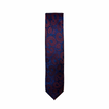 Darden Classic Paisley Tie