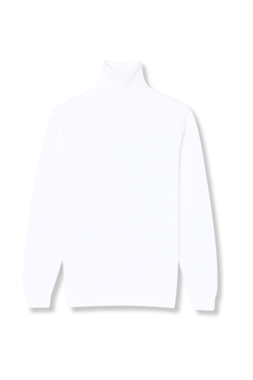 Donnie Turtleneck Sweater