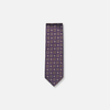 Aryeh Foulard Tie