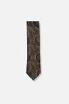 Babino Slim Paisley Tie