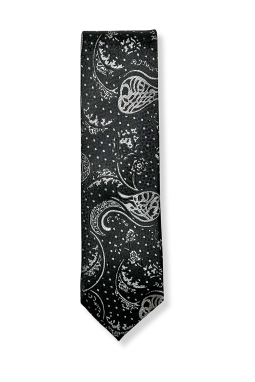 Danner Classic Paisley Tie