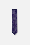 Bagwell Slim Paisley Tie