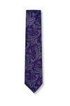 Bagwell Slim Paisley Tie