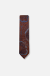 Dalman Classic Paisley Tie