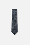 Bagwell Slim Paisley Tie