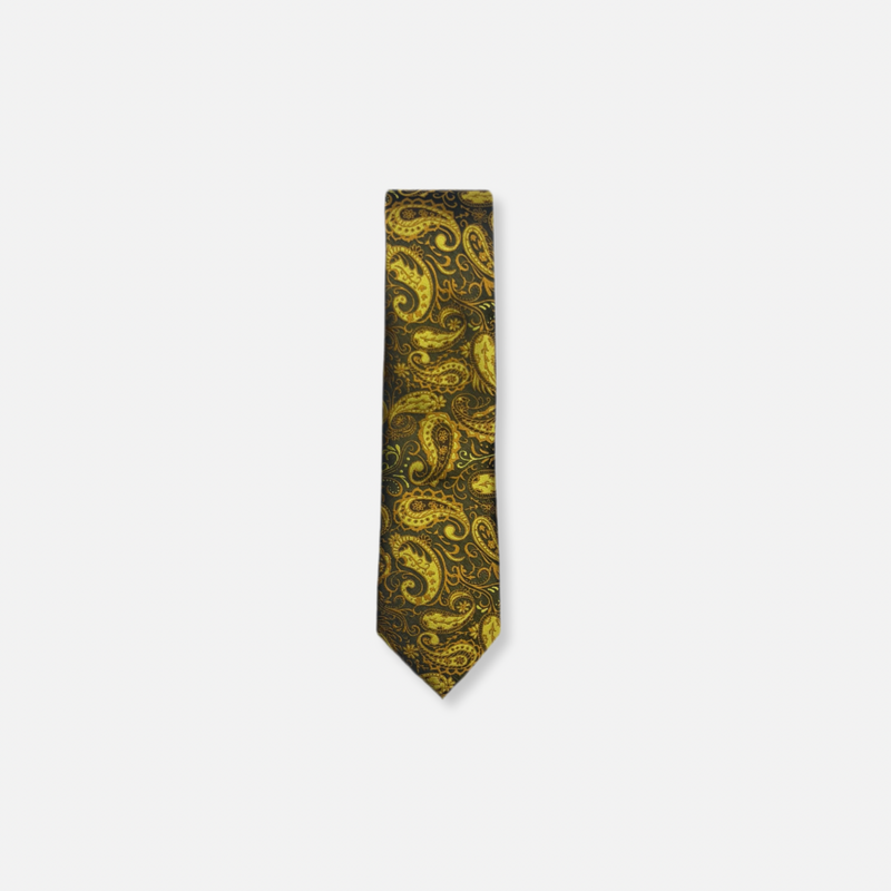 Bagdon Slim Paisley Tie