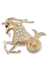 Grok Capricorn Lapel Pin Brooch