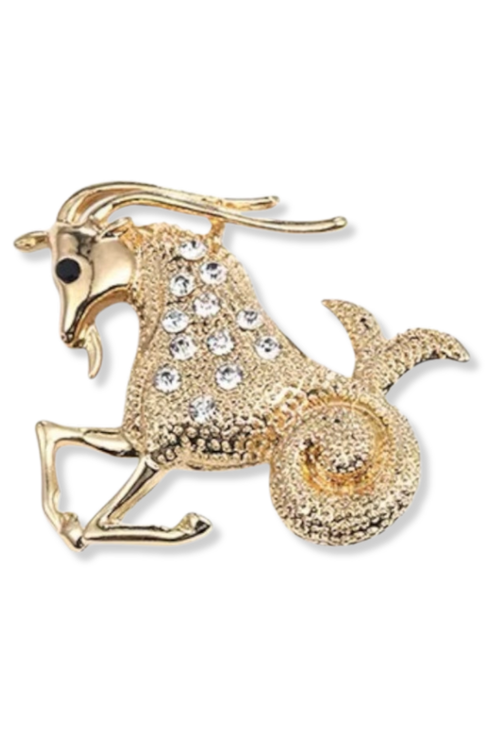 Grok Capricorn Lapel Pin Brooch