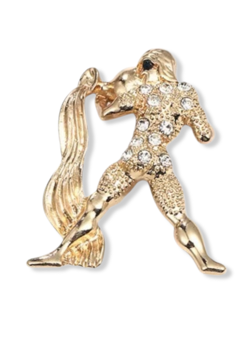 Grok Aquarius Lapel Pin Brooch