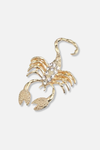 Grok Scorpio Lapel Pin Brooch
