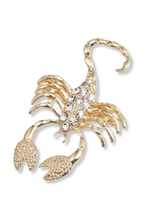 Grok Scorpio Lapel Pin Brooch