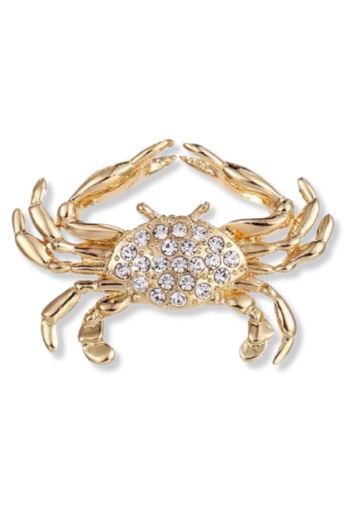 Grok Cancer Lapel Pin Brooch