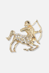 Grok Sagittarius Lapel Pin Brooch