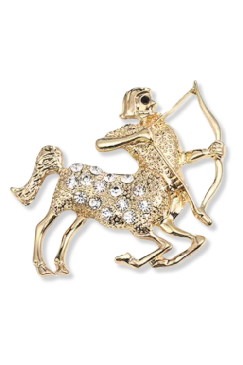 Grok Sagittarius Lapel Pin Brooch