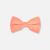 Baris Solid Clip Bow Tie