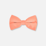 Baris Solid Clip Bow Tie