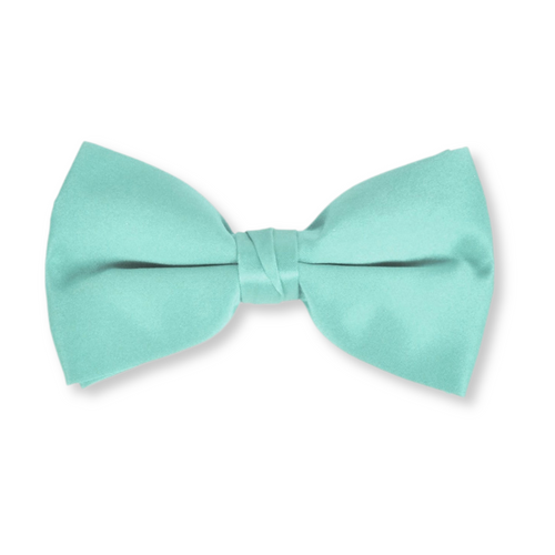 Baris Solid Clip Bow Tie