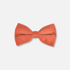 Baris Solid Clip Bow Tie