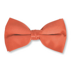 Baris Solid Clip Bow Tie