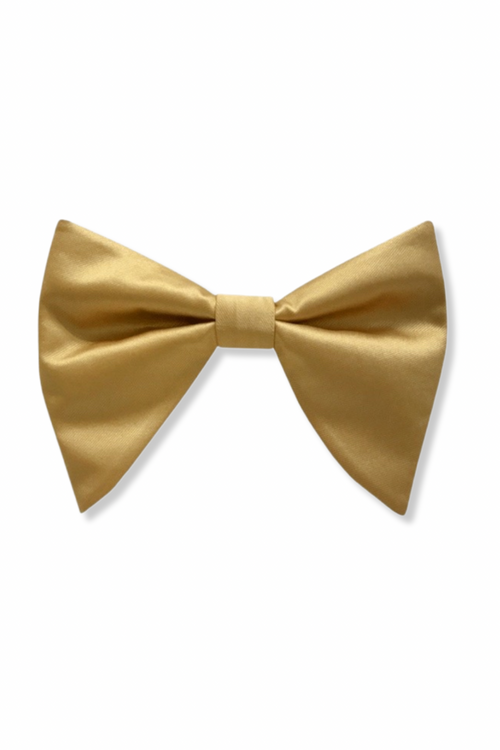 Brandon Long Bow Tie