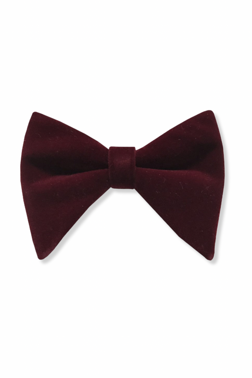 Bryant Long Velvet Bow Tie