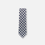 Zest Plaid Skinny Neck Tie