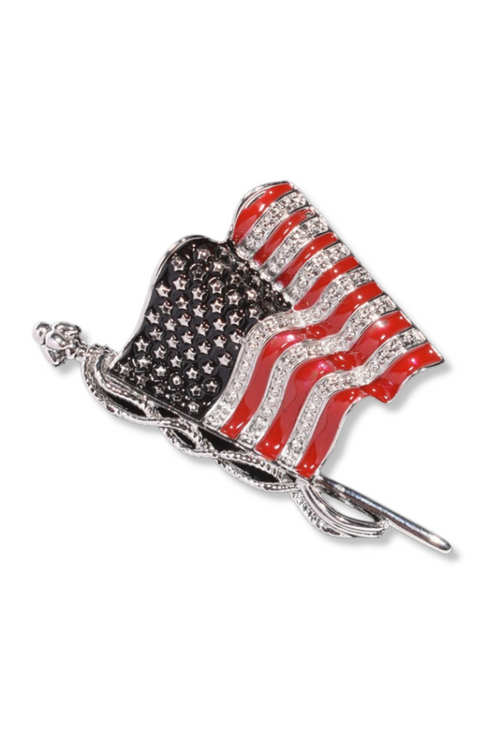 Brody Flag Lapel Pin Brooch