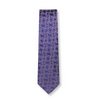 Teodor Paisley Silk Tie