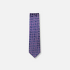 Teodor Paisley Silk Tie