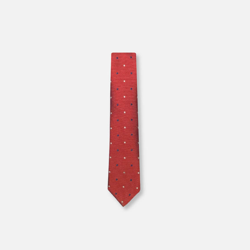 Alvaro Skinny Dotted Tie