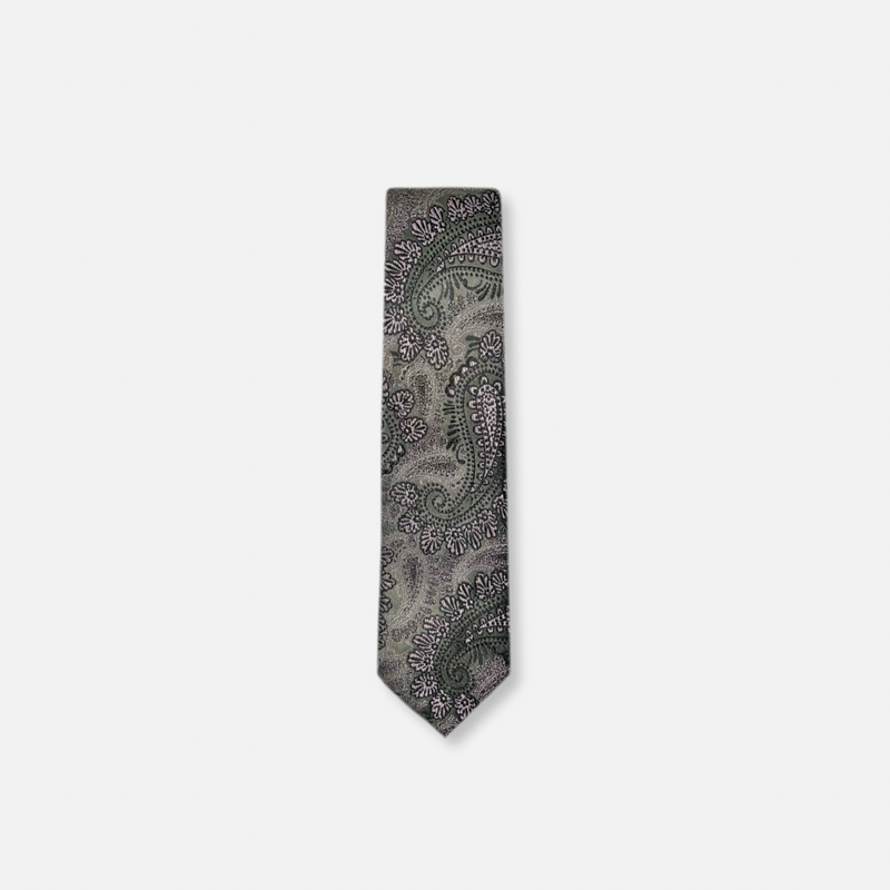 Daron Classic Paisley Tie