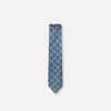 Ingo Checkered Skinny Tie