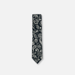 Baisley Skinny Paisley Tie