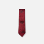 Daum Classic Paisley Tie