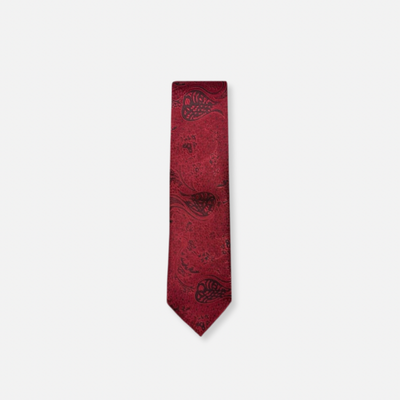 Daum Classic Paisley Tie