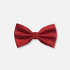 Ben Solid Bow Tie