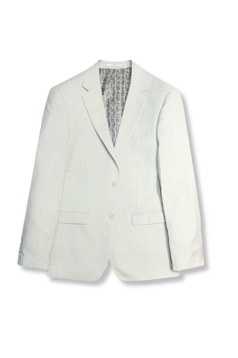Gesner Slim Solid Suit