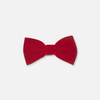 Brycen Velvet Bow Tie